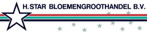 logohstarbloemengroothandel