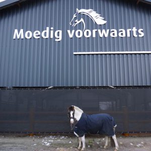 MoedigVoorwaartsLogo1
